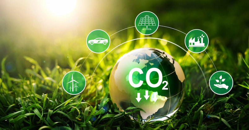 Atmosferdeki karbondioksit oranını arttırıyoruz. Karbon ayakizi konusu. Bitkilerin karbon salınımız karşısındaki önemli rolü