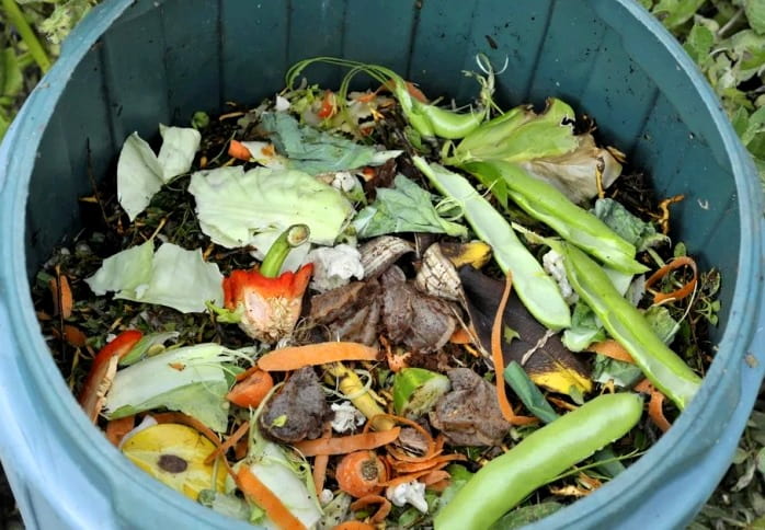 Kompost yapımında sebzeler, kuru yapraklar vesaire
