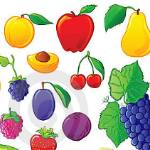 Meyvelerin renkli olmalarına dair açıklamalı bilgiler