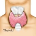 Tiroid bezi, zehirli guatr hastalığı, etkileri ve tedavi yolu