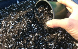 Bitki fidan ve fide üretiminde saf torf + perlit karışımı çelik köklendirme toprağı