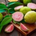 Guava meyve yetiştiriciliği ve ağaçlarının bakımı hakkında