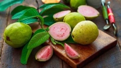 Guava meyve yetiştiriciliği ve ağaçlarının bakımı hakkında
