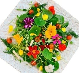 yenebilir çiçekler, salatalara, çaylara uygun çiçekler