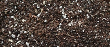 Tohum çimlendirme toprağı (fide yastığı toprağı) hazırlama tarifi