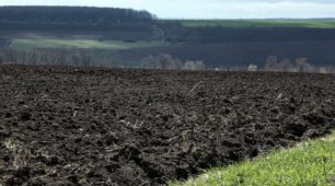 Rusya'da çernezyom topraklı tarlalar